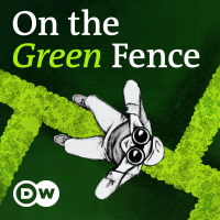 On The Green Fence cover