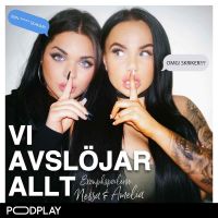 VI AVSLÖJAR ALLT cover