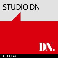 Studio DN cover