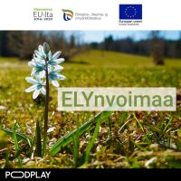 ELYnvoimaa cover
