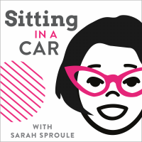 Sitting in a Car cover