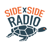 Side by Side Radio cover