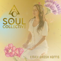 The Soul Collective cover