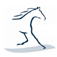 Straight from the Horse Doctor's Mouth cover