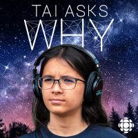 Tai Asks Why cover
