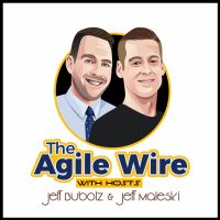 The Agile Wire cover