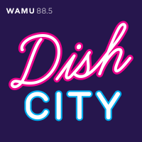 Dish City cover