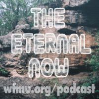 The Eternal Now with Andy Ortmann | WFMU cover