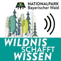 Wildnis schafft Wissen - Forschung im Nationalpark Bayerischer Wald cover