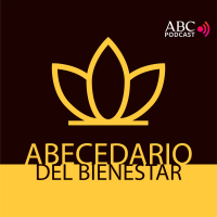 Abecedario del bienestar cover