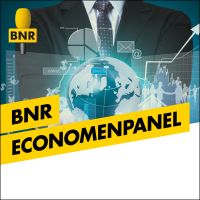 BNR Economenpanel | BNR cover