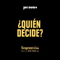¿Quién decide? cover