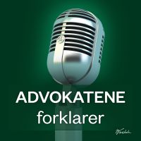 Advokatene forklarer cover