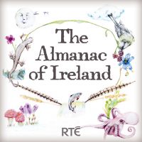 The Almanac of Ireland cover