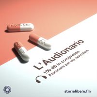 L'audionario cover