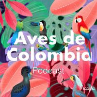Aves de Colombia cover