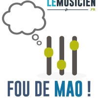 Fou de MAO cover