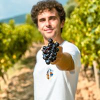 Italian Wines Podcast cover