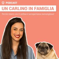 Un carlino in famiglia cover