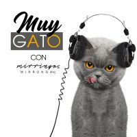 Muy Gato con Mirringa Mirronga cover