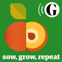 Sow, Grow, Repeat cover