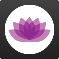 20 min. Yoga Sessions from YogaDownload.com cover