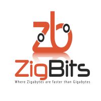 Zigbits Network Design Podcast cover