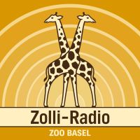 Zolli-Radio cover