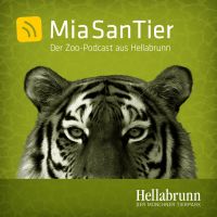 Mia san Tier - Der Zoo-Podcast aus Hellabrunn cover