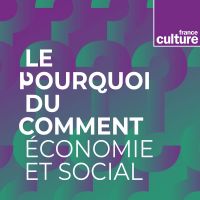 Le Pourquoi du Comment : économie & social cover