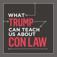 What Trump Can Teach Us About Con Law cover