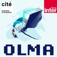 Olma cover