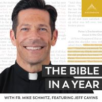 The Bible in a Year (with Fr. Mike Schmitz) cover