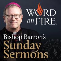 Bishop Barron’s Sunday Sermons - Catholic Preaching and Homilies cover