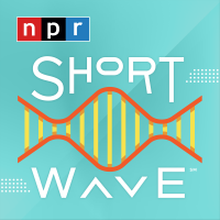 Short Wave cover