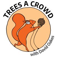 Trees A Crowd cover