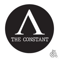 The Constant: A History of Getting Things Wrong cover