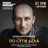 По сути дела. Николай Стариков cover