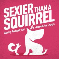Sexier Than A Squirrel: Dog Training That Gets Real Life Results cover