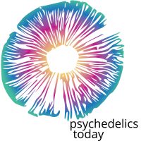 Psychedelics Today cover