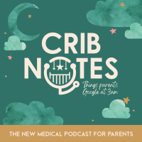 Crib Notes cover