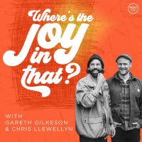 Where's The Joy In That? cover