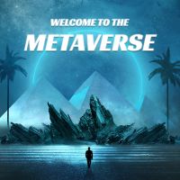 Welcome to the Metaverse cover