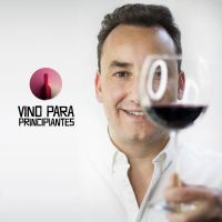 Vino para principiantes cover