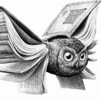 Audiolibros en Castellano cover