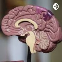 Neuropsicología y Educación cover