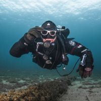 The Great Dive Podcast cover