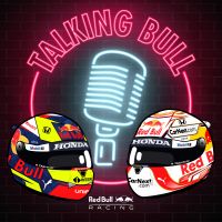 Talking Bull cover