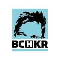 Bochkor cover