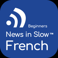 French for Beginners cover